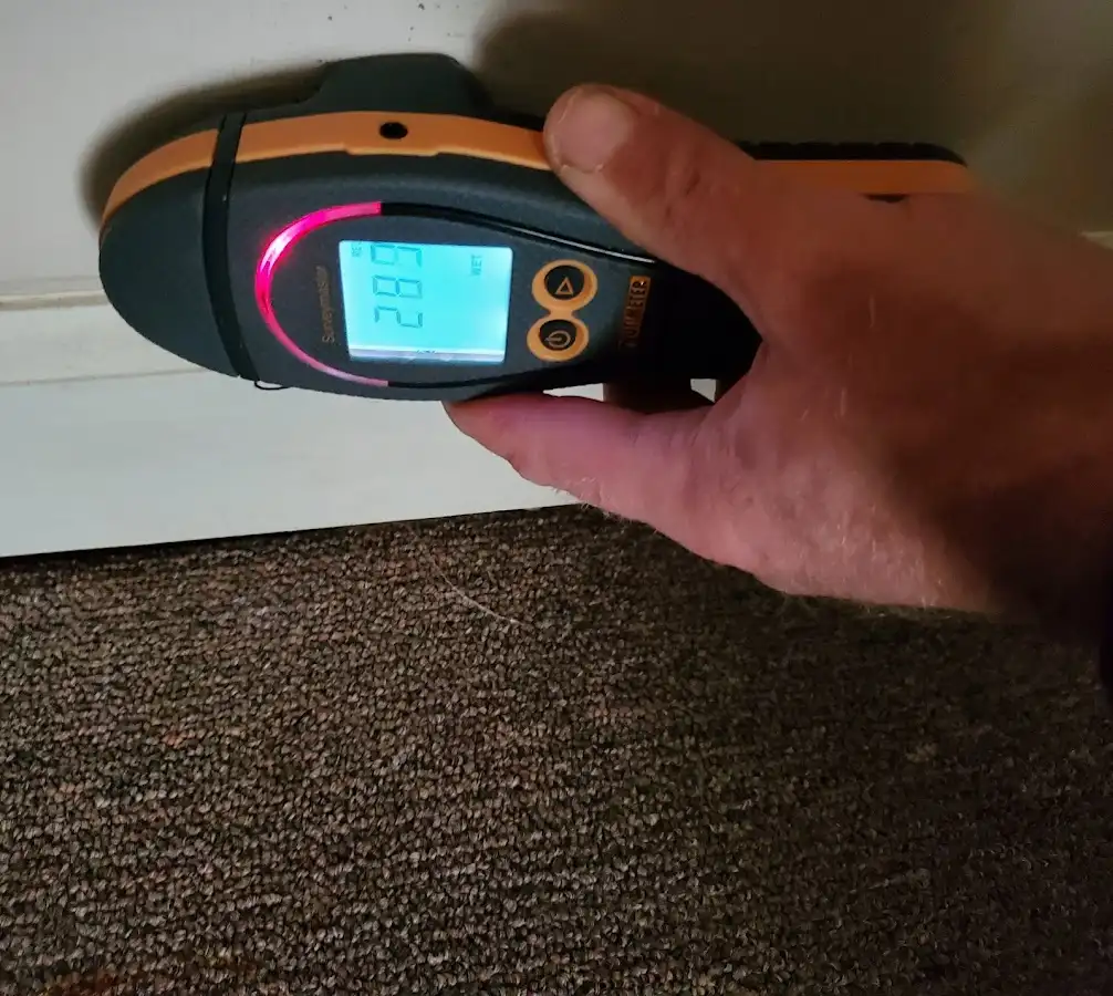 Moisture detection at baseboard during Sewage Cleanup & Sanitation in Homewood
